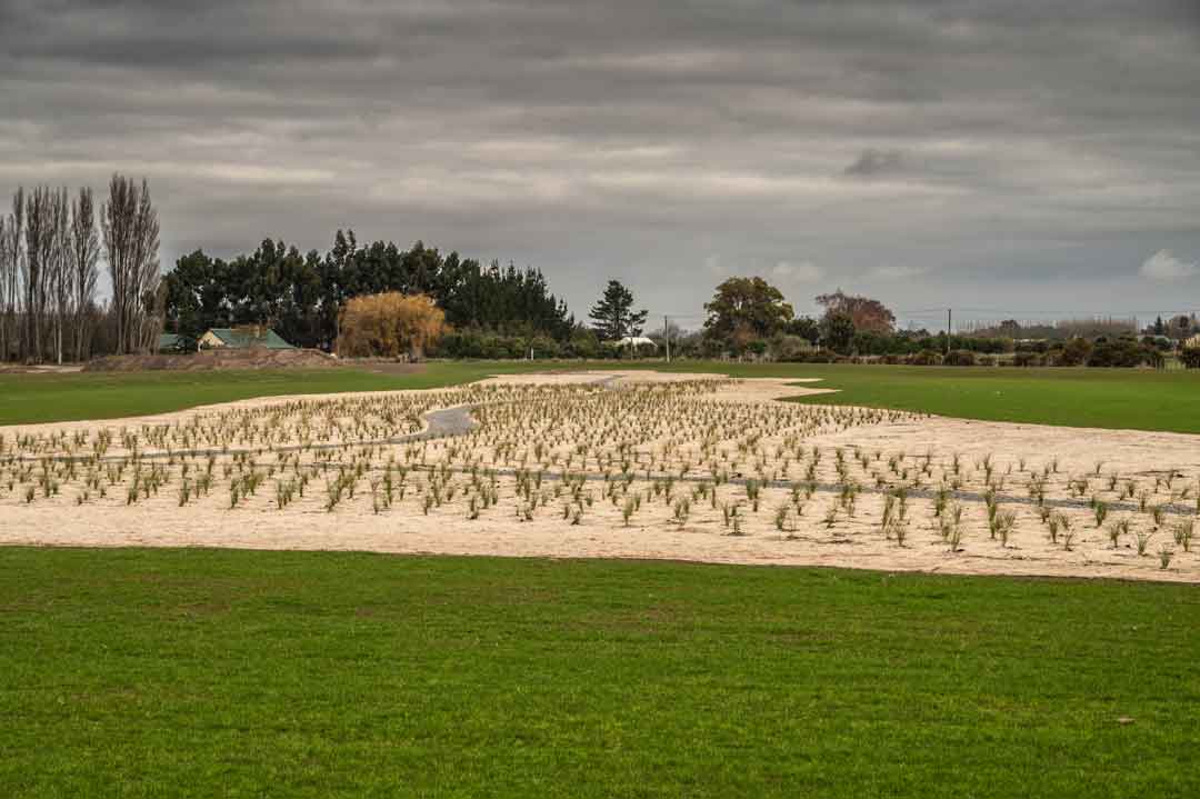 Terra Lana Dagmat wool weedmat in catchment reserve planting