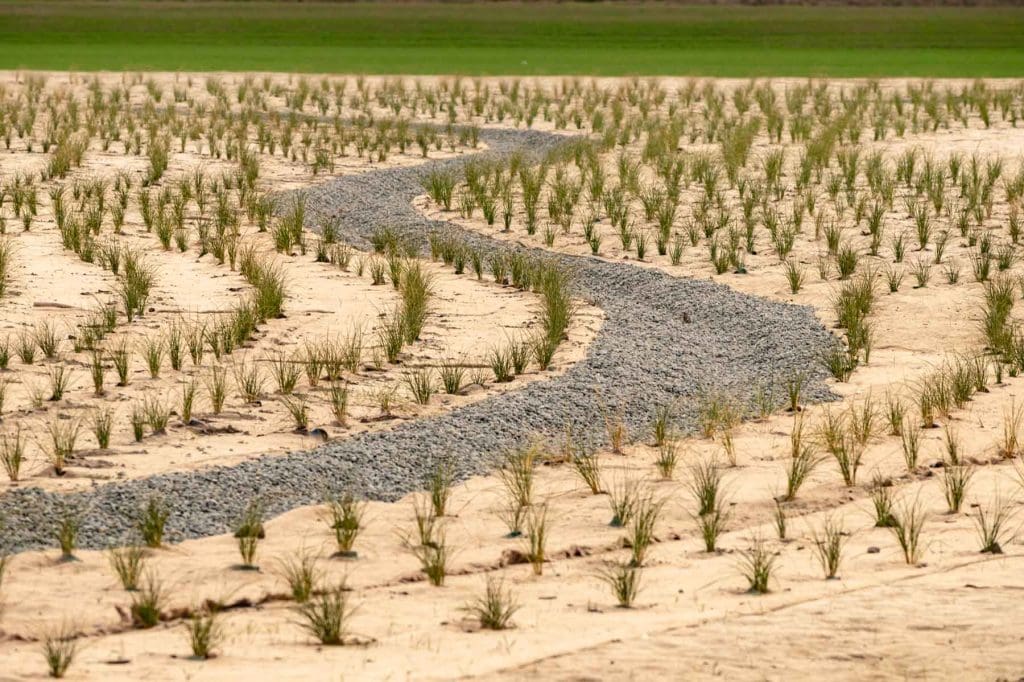 Dagmat wool weedmat planting in catchment reserve