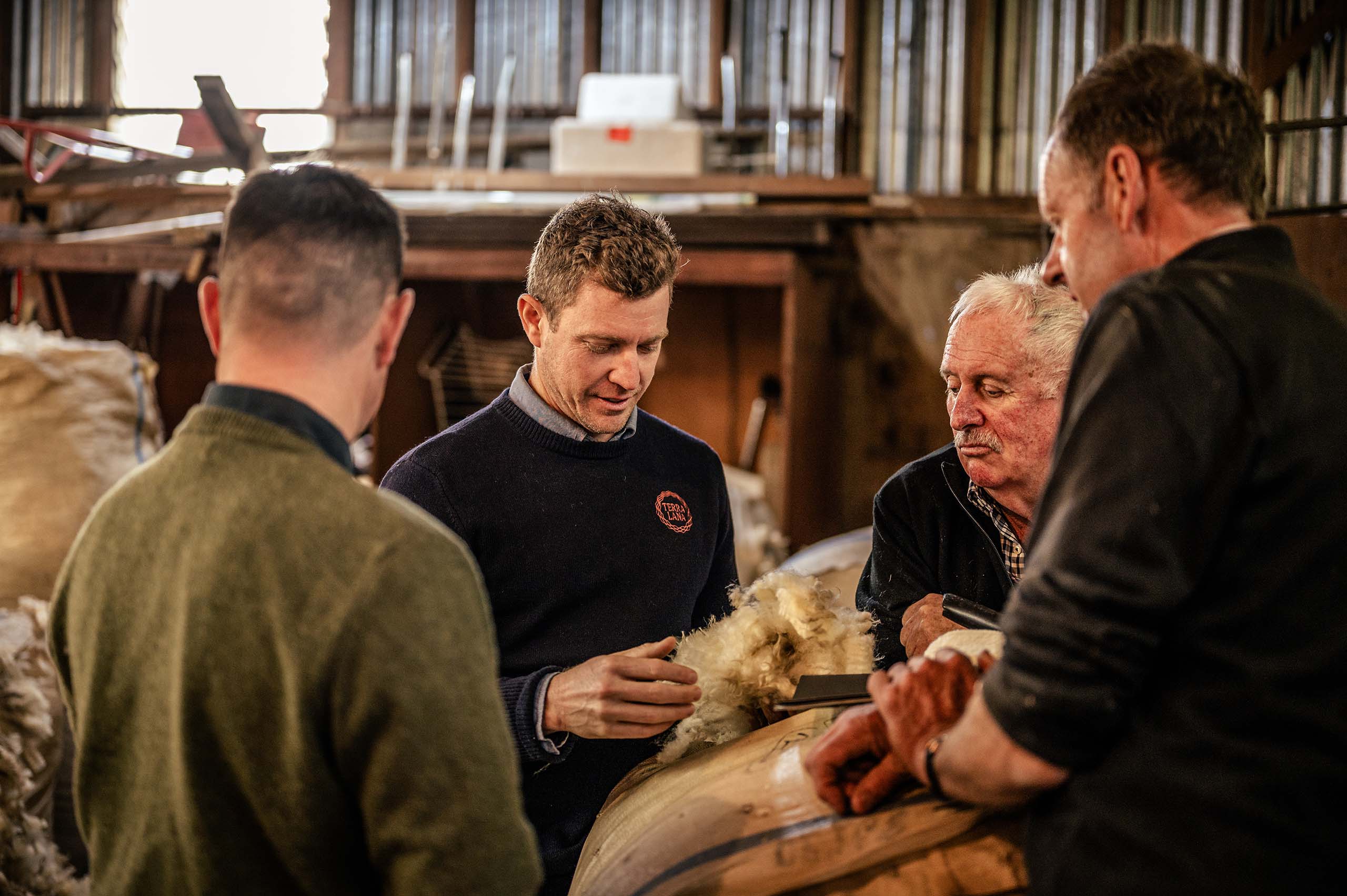 Sheep shearing on Banks Peninsula Farm for Terra Lana Wool insulation and weed matting