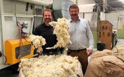 Government backs wool in construction