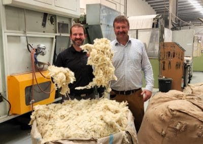 Government backs wool in construction
