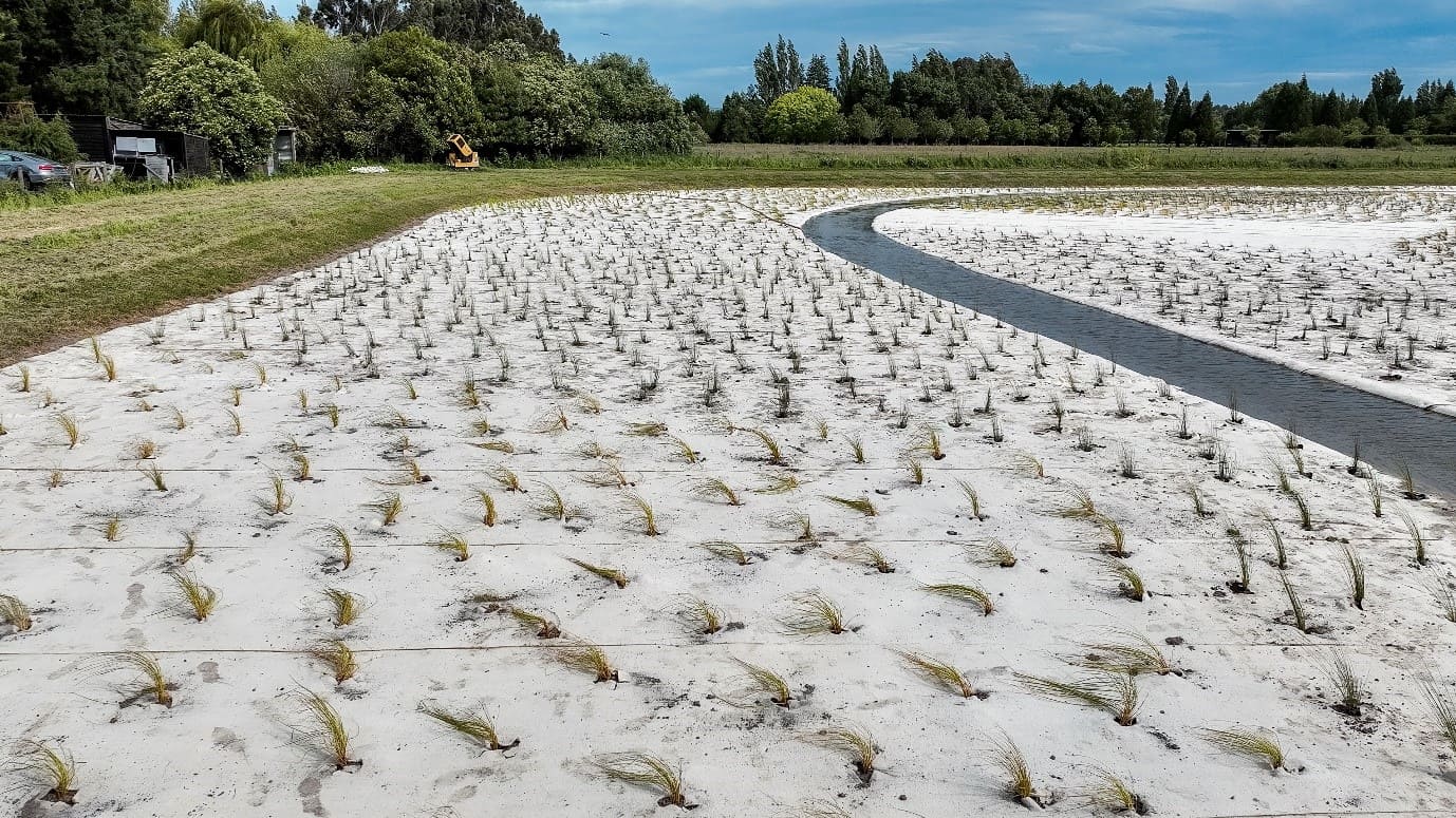 Oakbridge wetland uses DagMat wool to boost plant growth, reduce runoff, and manage stormwater sustainably and effectively.