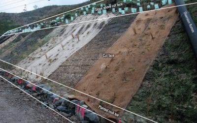 Erosion control study assesses landscape textile effectiveness