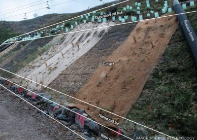 Erosion control study assesses landscape textile effectiveness